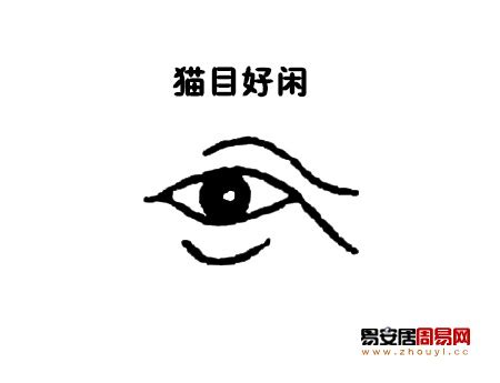 貓眼 面相|貓眼看相算命